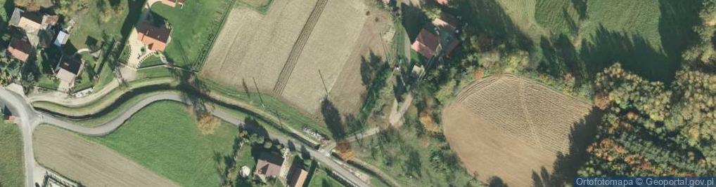 Zdjęcie satelitarne Woźniczna