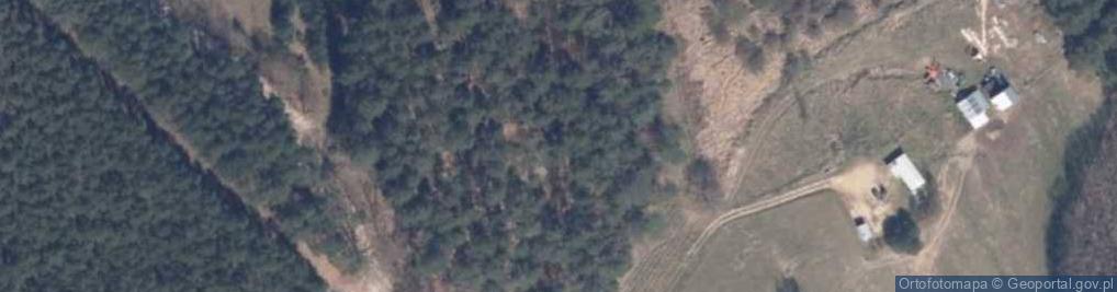 Zdjęcie satelitarne Żórawie