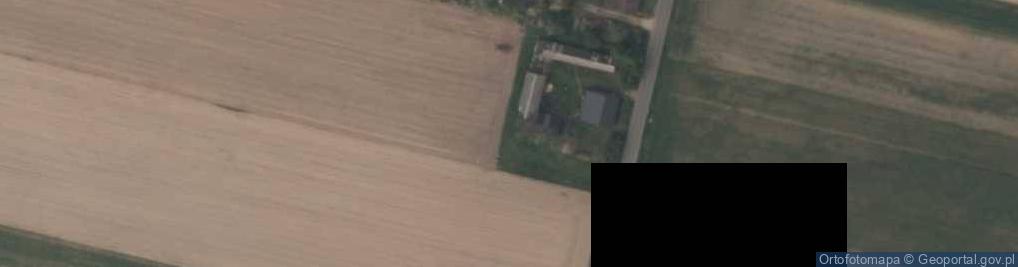 Zdjęcie satelitarne Zygmuntów (powiat wieruszowski)