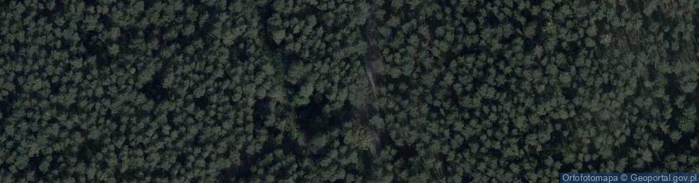 Zdjęcie satelitarne Camping nr 15