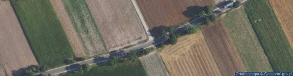 Zdjęcie satelitarne Drewniany krzyż