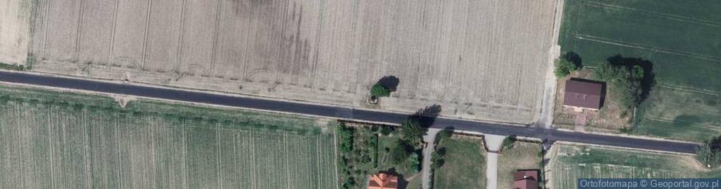 Zdjęcie satelitarne Drewniany krzyż