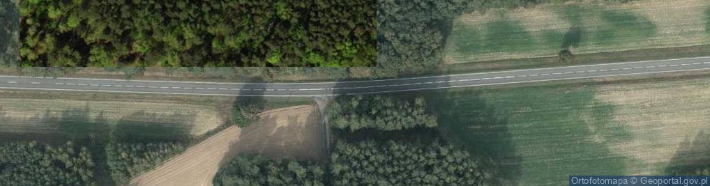 Zdjęcie satelitarne Drewniany krzyż
