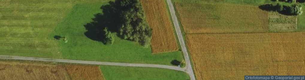 Zdjęcie satelitarne Drewniany krzyż