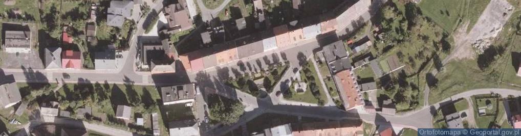 Zdjęcie satelitarne Figura św. Nepomucena z 1717 roku