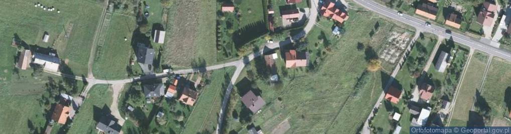 Zdjęcie satelitarne Figurka w starym pniu