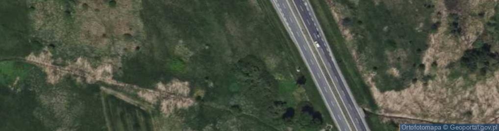 Zdjęcie satelitarne Figurka