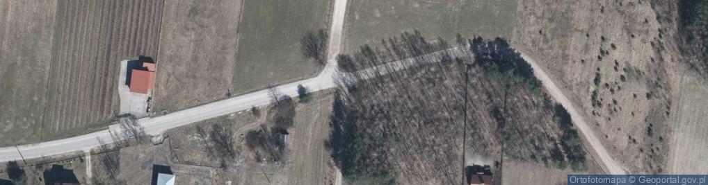 Zdjęcie satelitarne Kapliczka, Figura Świętych, Krzyż