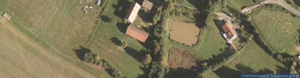 Zdjęcie satelitarne Kapliczka, Figura Świętych, Krzyż