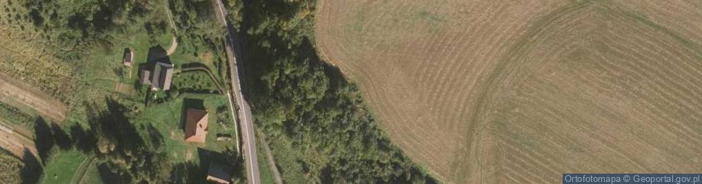 Zdjęcie satelitarne Kapliczka, Figura Świętych, Krzyż