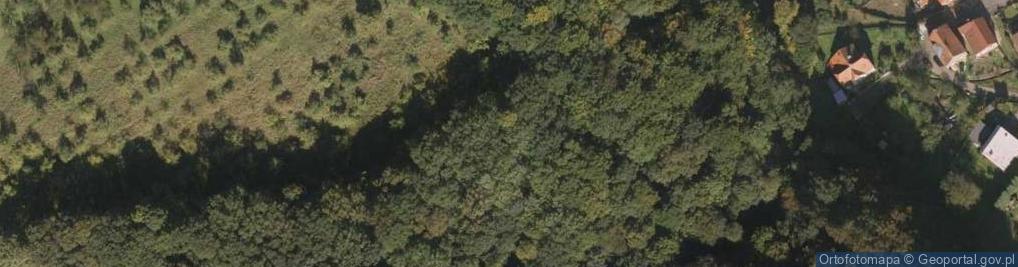 Zdjęcie satelitarne Kapliczka, Figura Świętych, Krzyż