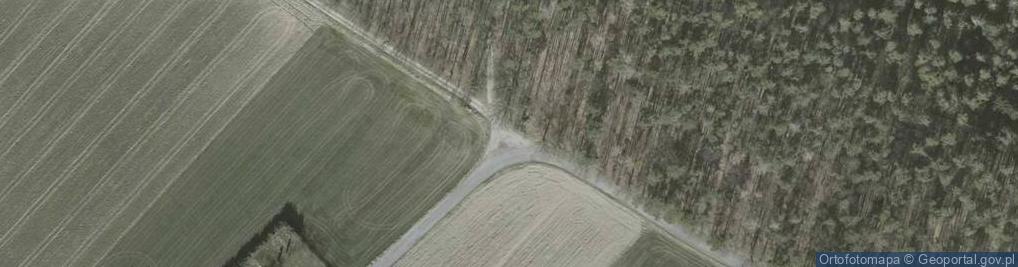 Zdjęcie satelitarne Kapliczka, Figura Świętych, Krzyż