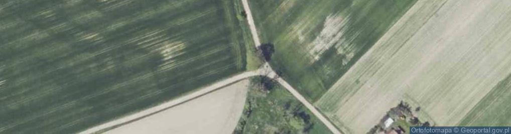 Zdjęcie satelitarne Kapliczka, Figura Świętych, Krzyż
