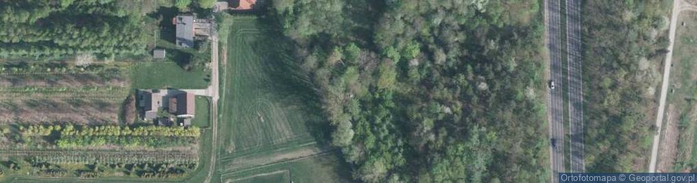 Zdjęcie satelitarne Kapliczka, Figura Świętych, Krzyż