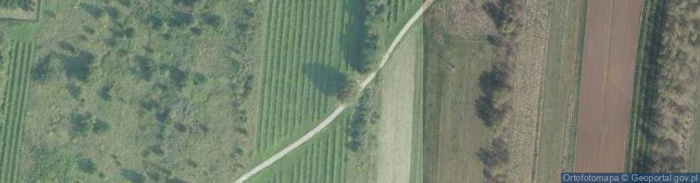 Zdjęcie satelitarne Kapliczka, Figura Świętych, Krzyż
