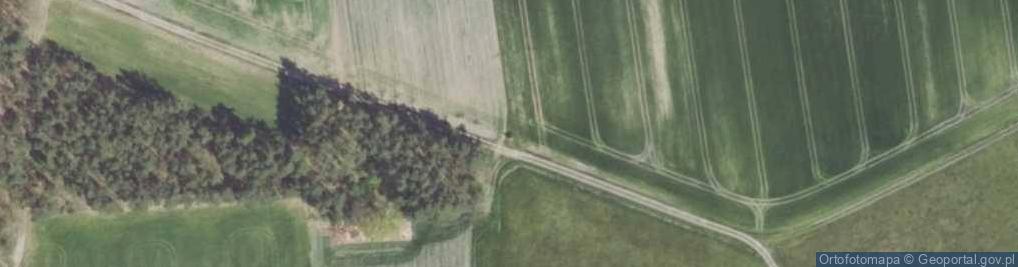 Zdjęcie satelitarne Kapliczka, Figura Świętych, Krzyż