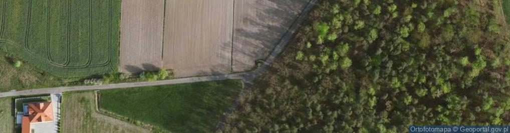 Zdjęcie satelitarne Kapliczka, Figura Świętych, Krzyż