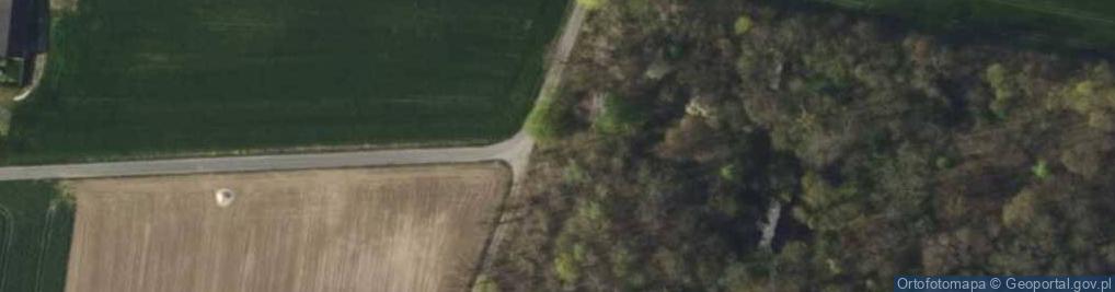 Zdjęcie satelitarne Kapliczka, Figura Świętych, Krzyż