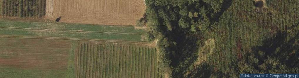 Zdjęcie satelitarne Kapliczka, Figura Świętych, Krzyż