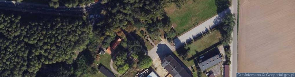 Zdjęcie satelitarne Kapliczka, Figura Świętych, Krzyż