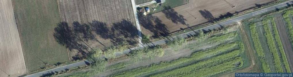 Zdjęcie satelitarne Kapliczka, Figura Świętych, Krzyż