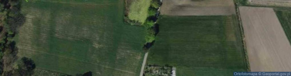 Zdjęcie satelitarne Kapliczka, Figura Świętych, Krzyż