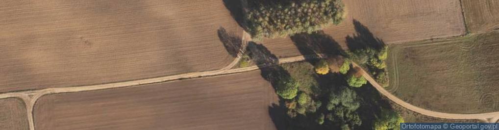 Zdjęcie satelitarne Kapliczka, Figura Świętych, Krzyż