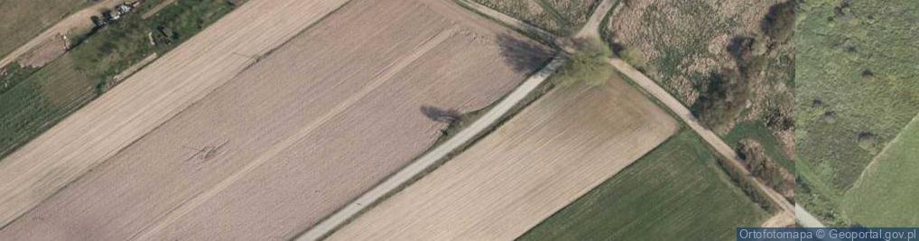 Zdjęcie satelitarne Kapliczka, Figura Świętych, Krzyż