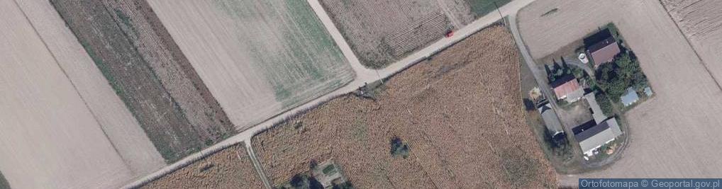 Zdjęcie satelitarne Kapliczka, Figura Świętych, Krzyż