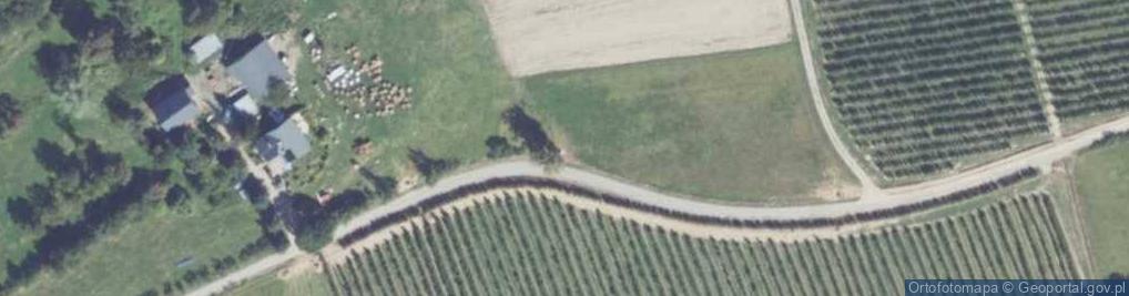 Zdjęcie satelitarne Kapliczka, Figura Świętych, Krzyż