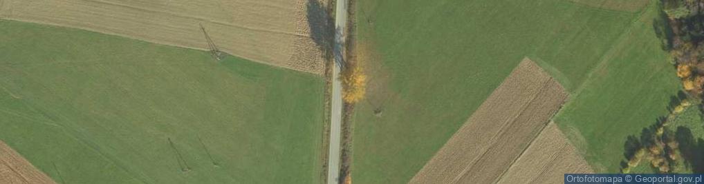 Zdjęcie satelitarne Kapliczka, Figura Świętych, Krzyż