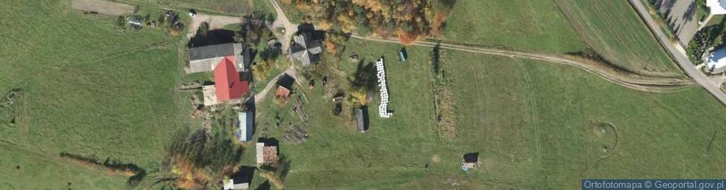 Zdjęcie satelitarne Kapliczka, Figura Świętych, Krzyż