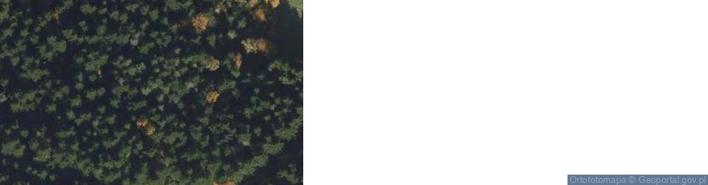 Zdjęcie satelitarne Kapliczka, Figura Świętych, Krzyż