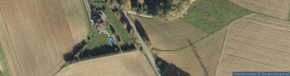 Zdjęcie satelitarne Kapliczka, Figura Świętych, Krzyż