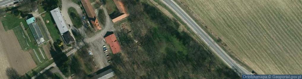 Zdjęcie satelitarne Kapliczka, Figura Świętych, Krzyż