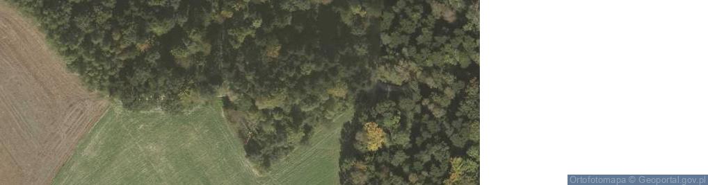 Zdjęcie satelitarne Kapliczka, Figura Świętych, Krzyż