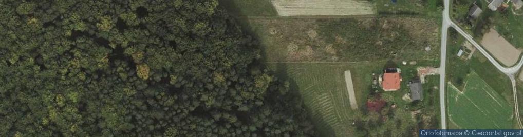 Zdjęcie satelitarne Kapliczka, Figura Świętych, Krzyż