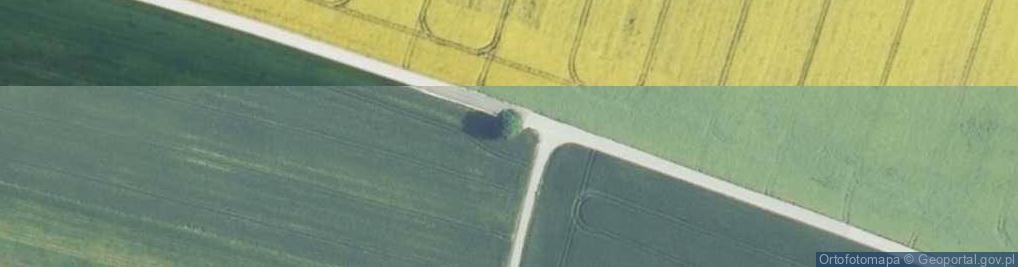 Zdjęcie satelitarne Kapliczka, Figura Świętych, Krzyż