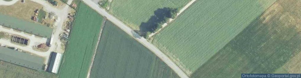 Zdjęcie satelitarne Kapliczka, Figura Świętych, Krzyż
