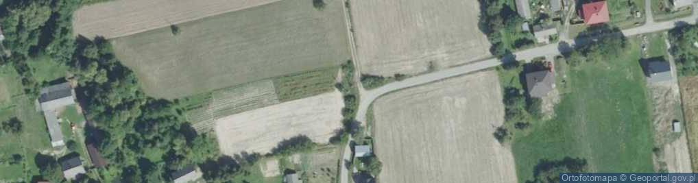 Zdjęcie satelitarne Kapliczka, Figura Świętych, Krzyż