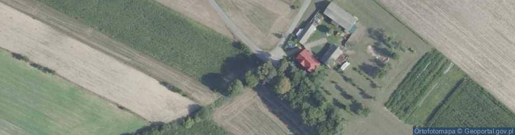 Zdjęcie satelitarne Kapliczka, Figura Świętych, Krzyż
