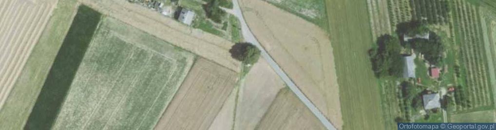 Zdjęcie satelitarne Kapliczka, Figura Świętych, Krzyż