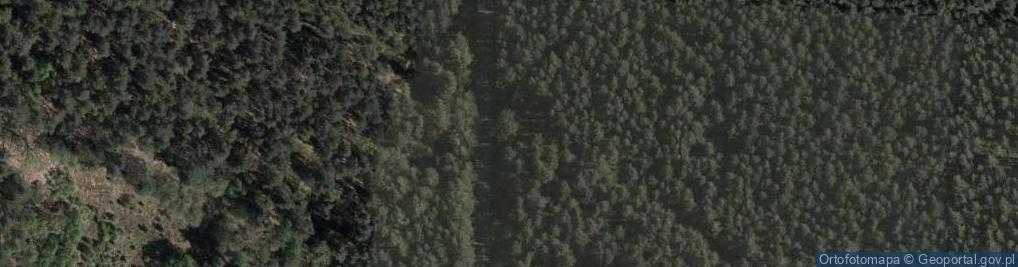 Zdjęcie satelitarne Kapliczka, Figura Świętych, Krzyż