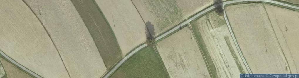 Zdjęcie satelitarne Kapliczka, Figura Świętych, Krzyż