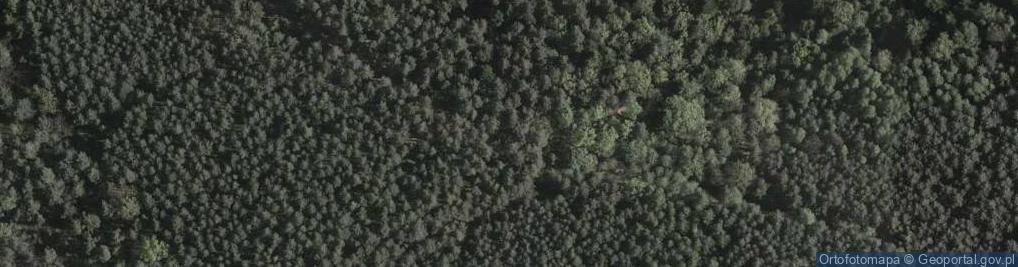 Zdjęcie satelitarne Kapliczka, Figura Świętych, Krzyż