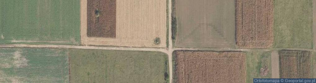 Zdjęcie satelitarne Kapliczka, Figura Świętych, Krzyż