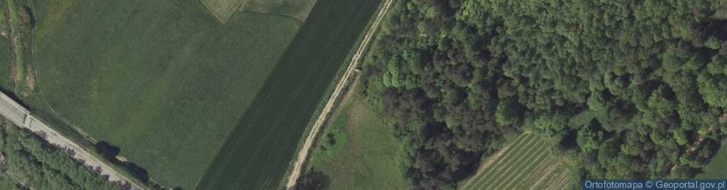 Zdjęcie satelitarne Kapliczka, Figura Świętych, Krzyż