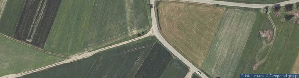 Zdjęcie satelitarne Kapliczka, Figura Świętych, Krzyż