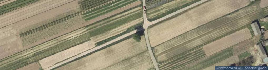 Zdjęcie satelitarne Kapliczka, Figura Świętych, Krzyż