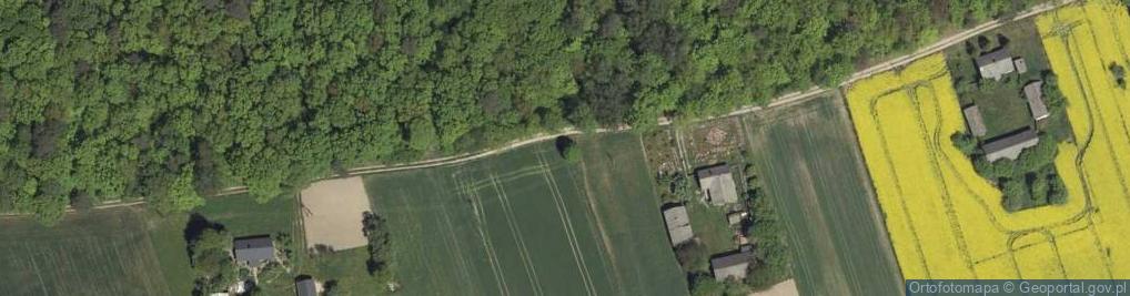 Zdjęcie satelitarne Kapliczka, Figura Świętych, Krzyż